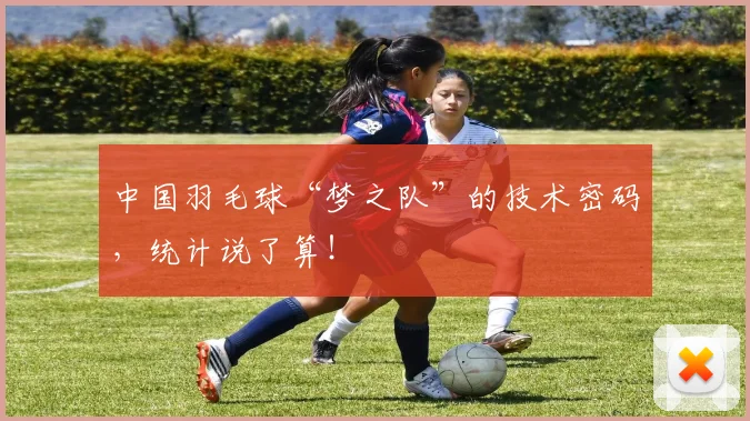 中国羽毛球“梦之队”的技术密码,统计说了算!